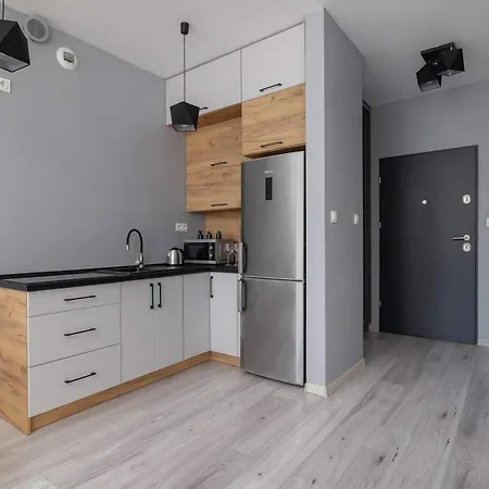 Apartment Partyzantow Monochrome & Modern In By Renters
