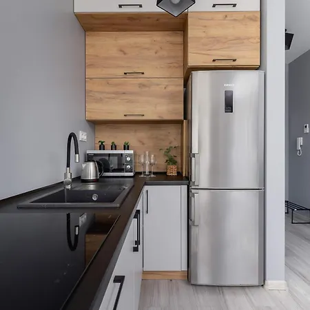 Partyzantow Monochrome & Modern In By Renters Appartement *