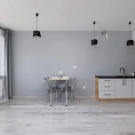 Partyzantow Monochrome & Modern In By Renters * Sosnowiec