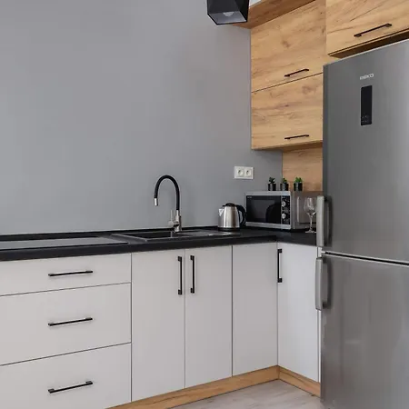 Partyzantow Monochrome & Modern In By Renters Appartement Sosnowiec