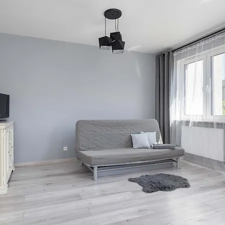 Partyzantow Monochrome & Modern In By Renters *