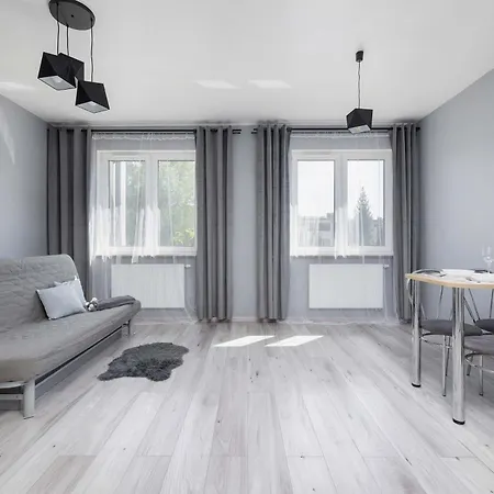 Partyzantow Monochrome & Modern In By Renters