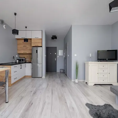 Partyzantow Monochrome & Modern In By Renters Sosnowiec