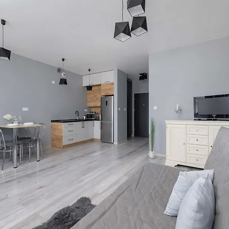 Partyzantow Monochrome & Modern In By Renters Sosnowiec