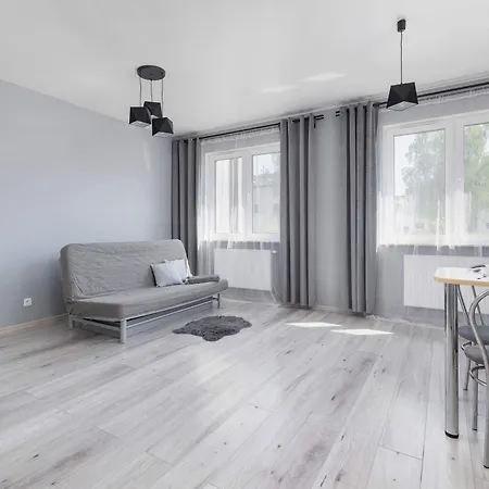 Partyzantow Monochrome & Modern In By Renters Apartamento
