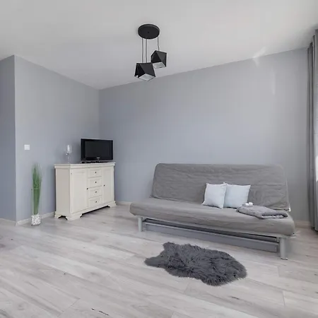 Partyzantow Monochrome & Modern In By Renters Apartment