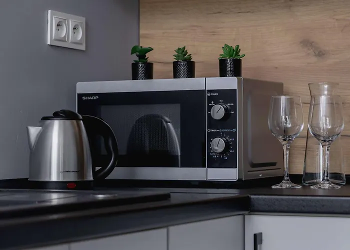 Partyzantow Monochrome & Modern In By Renters 아파트 *