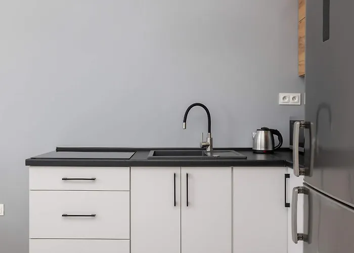 Partyzantow Monochrome & Modern In By Renters