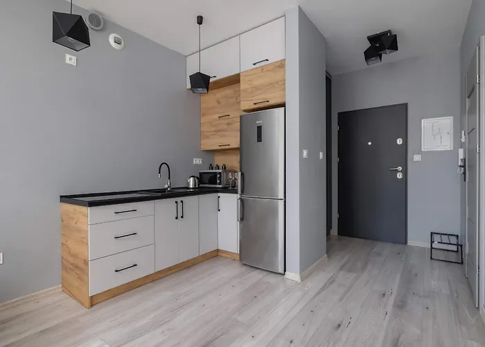 아파트 Partyzantow Monochrome & Modern In By Renters