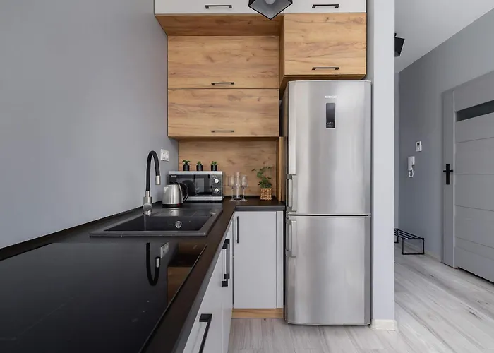 Partyzantow Monochrome & Modern In By Renters 아파트 *