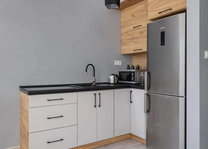 Partyzantow Monochrome & Modern In By Renters 아파트 소스노비크