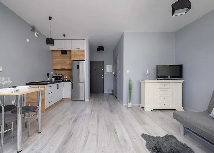 Partyzantow Monochrome & Modern In By Renters 소스노비크