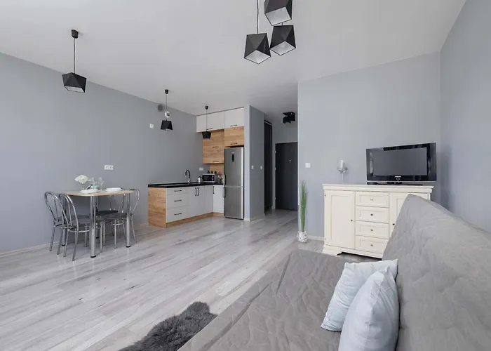 Partyzantow Monochrome & Modern In By Renters 소스노비크